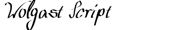 Wolgast Script font preview